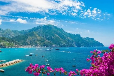 Travel Marketing Agency